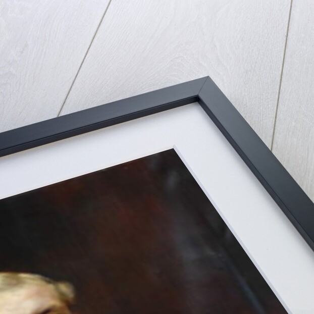 Portrait of a Man by English School