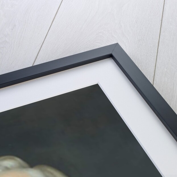 Comte de Polikao, c.1880 by Gottereau Gottereau