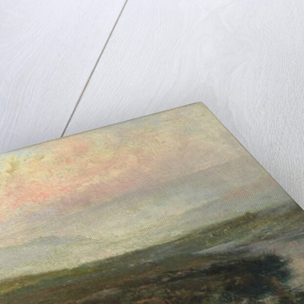 Moorland Scene by Tom Clifton Butterfield