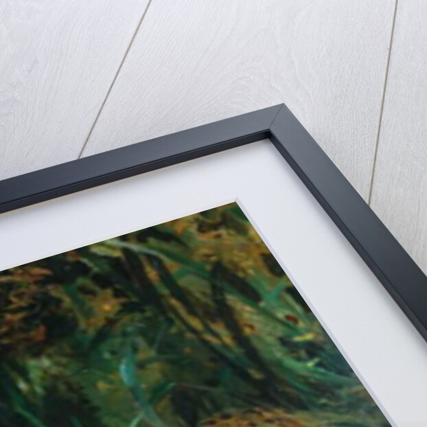 Indian Leopards by John Macallan Swan