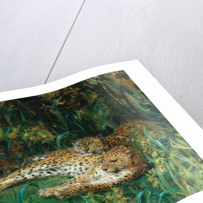 Indian Leopards by John Macallan Swan