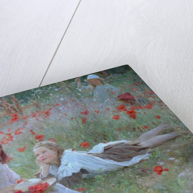 Poppies by Frederick Stead