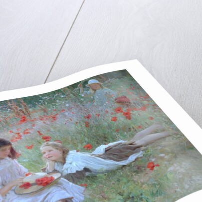 Poppies by Frederick Stead