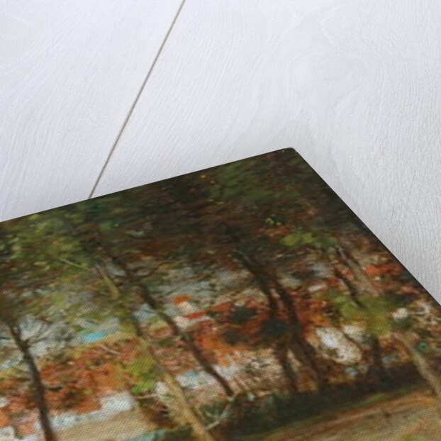 Sunshine and Shadow by Thomas Austen Brown