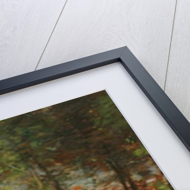 Sunshine and Shadow by Thomas Austen Brown