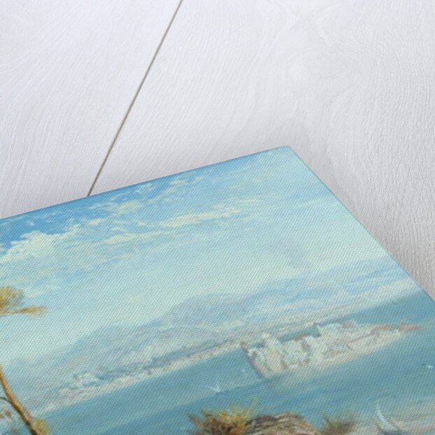 The Bay of Naples, 1876 by James Webb