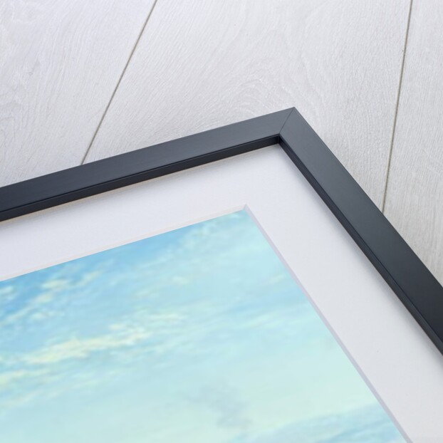 The Bay of Naples, 1876 by James Webb