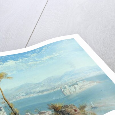 The Bay of Naples, 1876 by James Webb