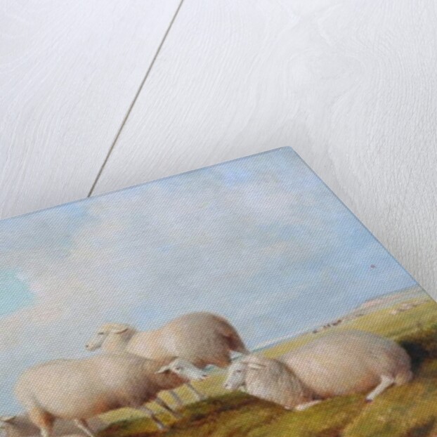 Sheep by Thomas Sidney (style of) Cooper