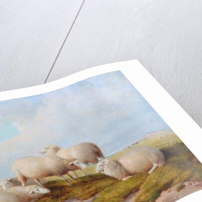 Sheep by Thomas Sidney (style of) Cooper