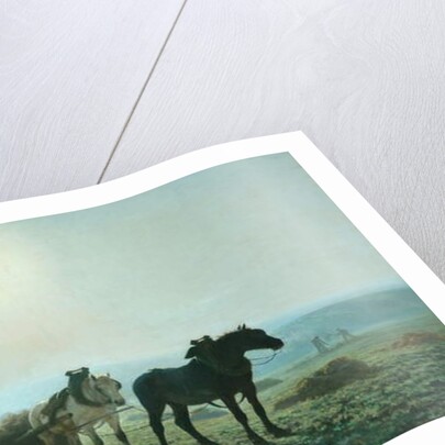 Horses in a Field, 1873 by Jules Leon Montigny