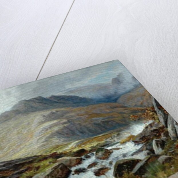 The Glyder Fawr from Pen-Y Ben Glog, 1876 by Edwin Pettitt