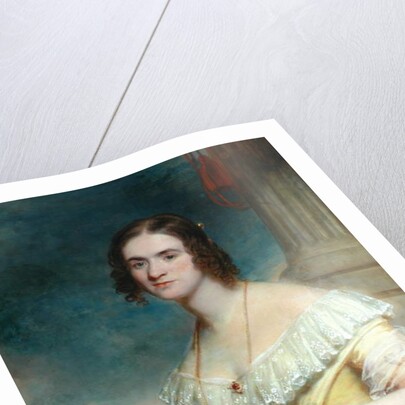 Portrait of a Lady by Martin Archer Shee