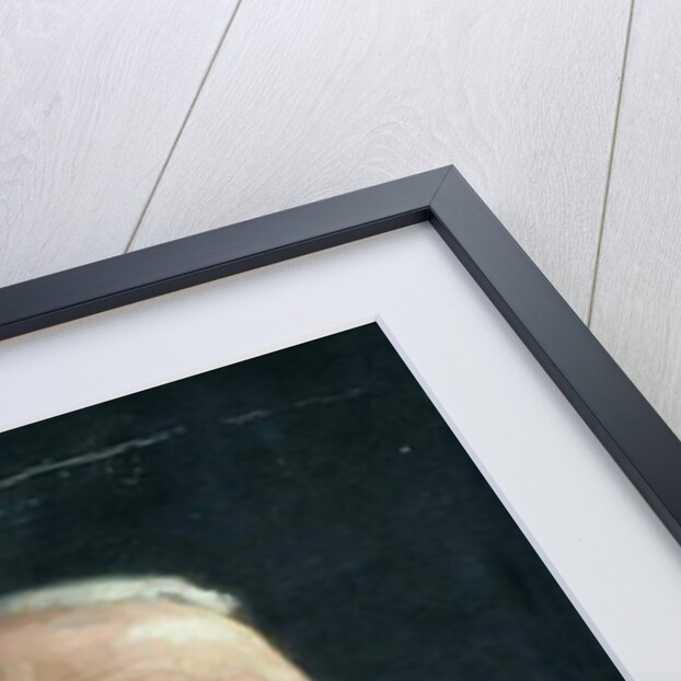 Alderman H. S. Brigg by Frederick Stead