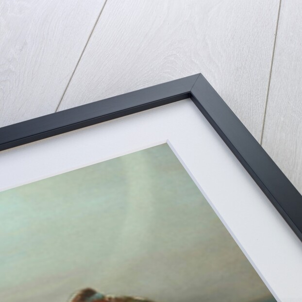 The Shepherd by William Shackleton