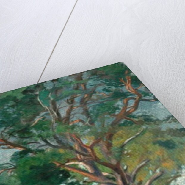 The Scotch Fir by William Bruce Ellis Ranken