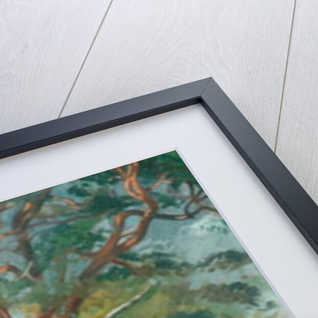 The Scotch Fir by William Bruce Ellis Ranken