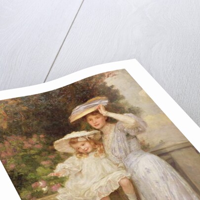 Butterflies by Frederick Stead