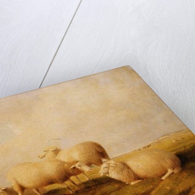 Sheep by Thomas Sidney Cooper