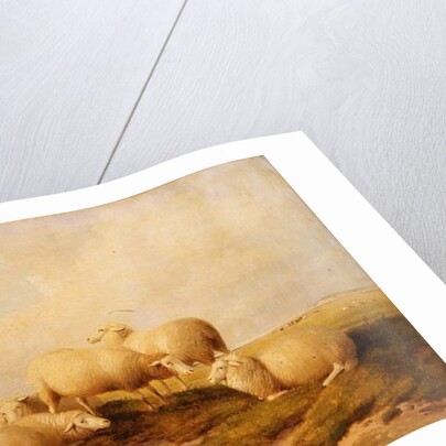 Sheep by Thomas Sidney Cooper