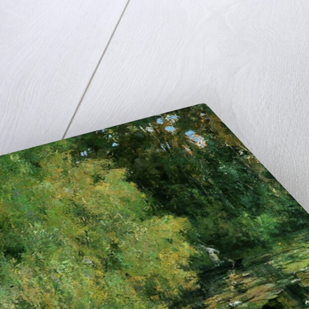 The Lily Pool, 1905 by Tom Clifton Butterfield