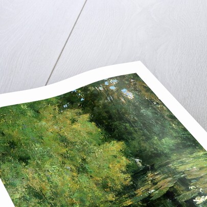 The Lily Pool, 1905 by Tom Clifton Butterfield