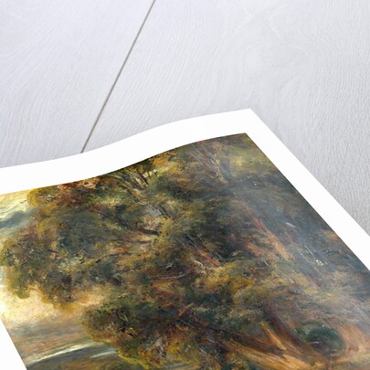 Tree study by Arthur Reginald Smith