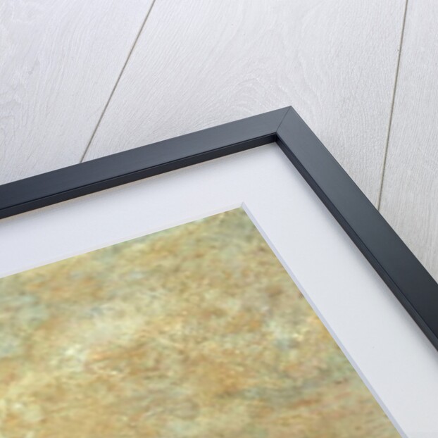 The River Colne at Rickmansworth by John William Buxton Knight