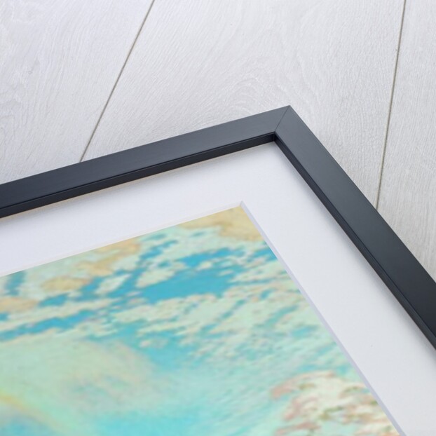 Blossoms of spring by William Shackleton