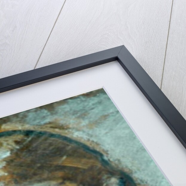 Head by Ambrose McEvoy