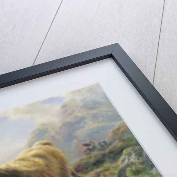 Highland Cattle by William Watson