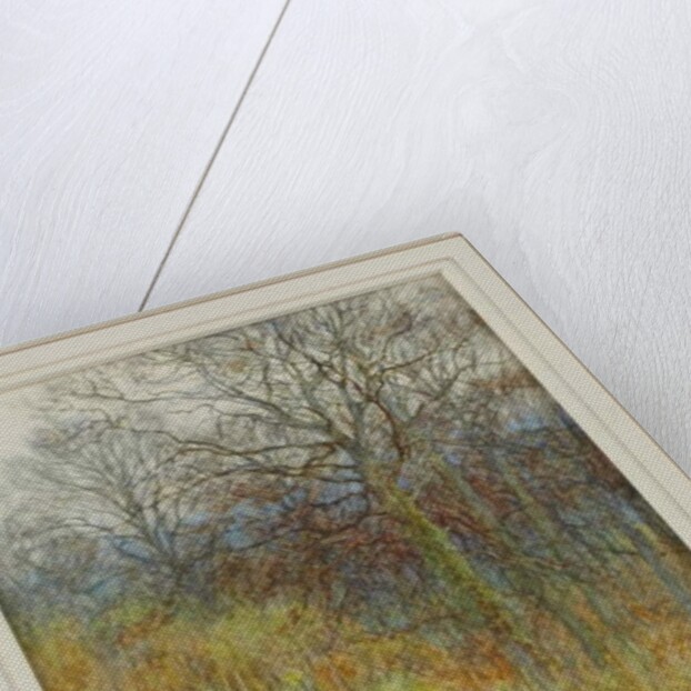 Our Primrose Wood, 1913 by Helen Allingham