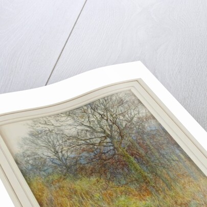 Our Primrose Wood, 1913 by Helen Allingham