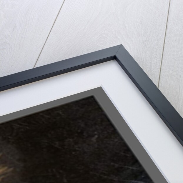 Detail from Portrait of Alexander Hamilton by Henry Raeburn