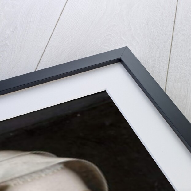 Mary Stuart, 1560 by Jean Clouet