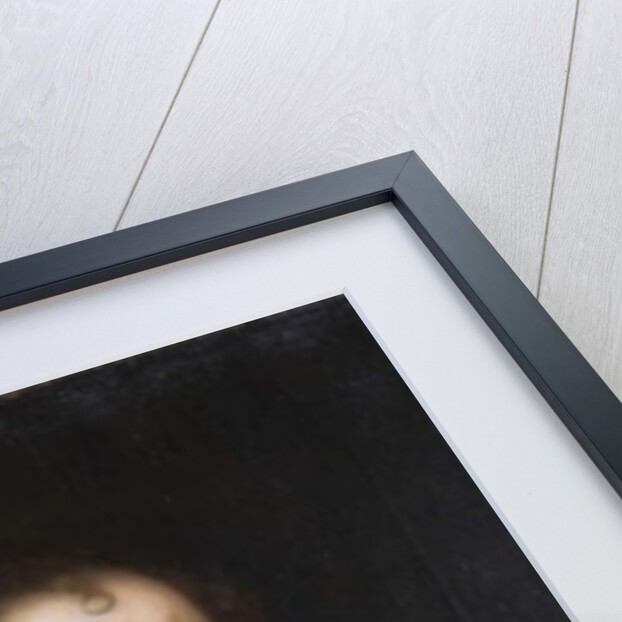 Portrait of Ann Capell by Peter Lely