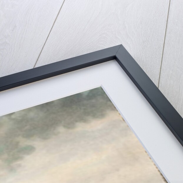 Napoleon disembarking at Cannes in 1815, 1835 by G. Beaufort