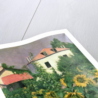 Sunflowers in the Garden at Petit Gennevilliers by Gustave Caillebotte