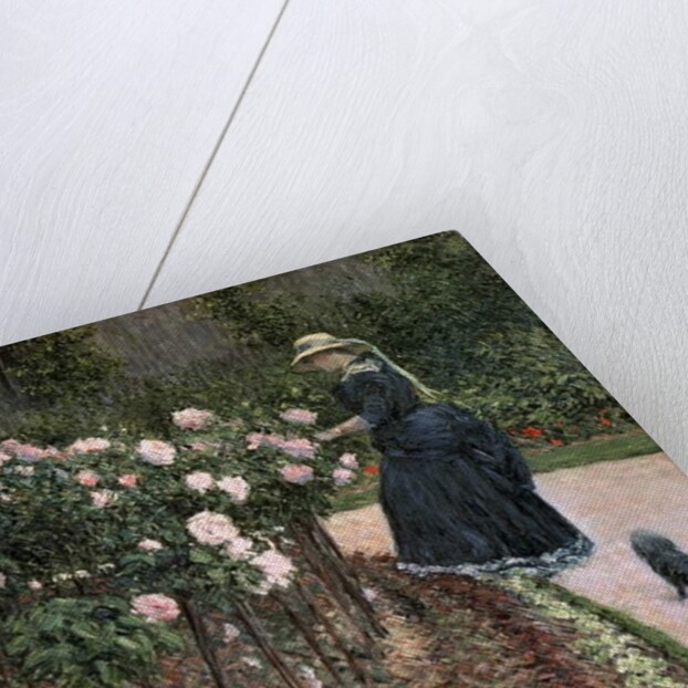 Roses in the Garden at Petit Gennevilliers, 1886 by Gustave Caillebotte