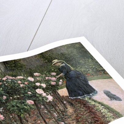 Roses in the Garden at Petit Gennevilliers, 1886 by Gustave Caillebotte