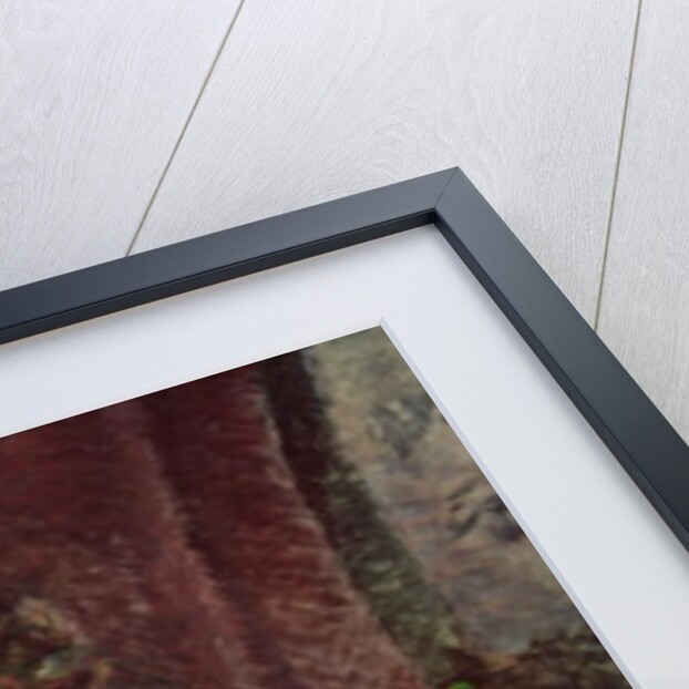 The Laundress, 1889 by Henri de Toulouse-Lautrec