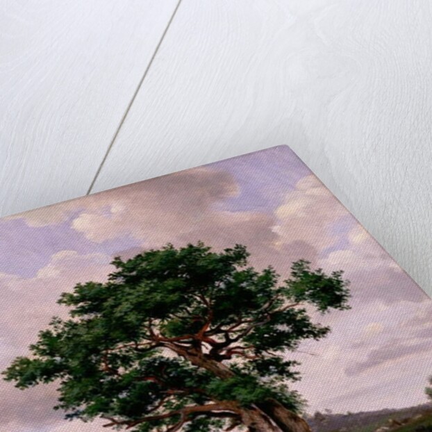 Le Rageur by Jules Dupre