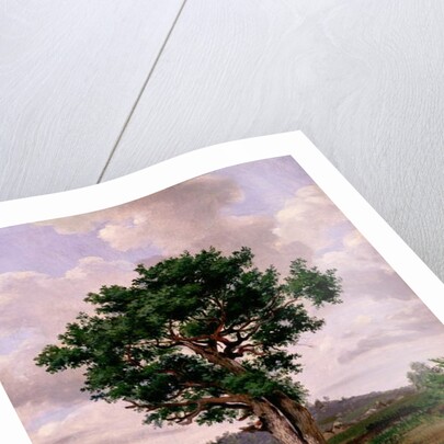 Le Rageur by Jules Dupre