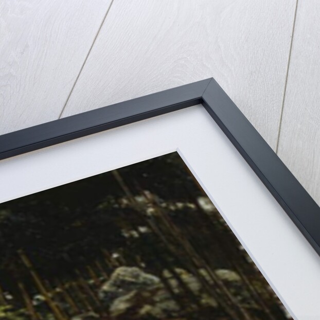 Rochefort by Antoine Louis Barye