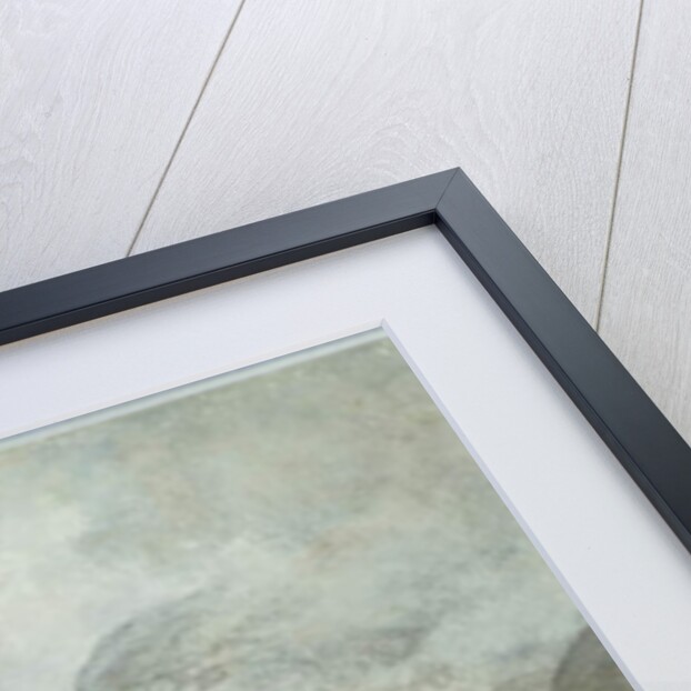 Fishing in the mountains by Gustave Dore