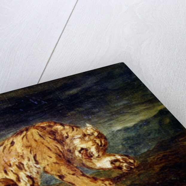 Tiger licking a paw by Ferdinand Victor Eugene Delacroix