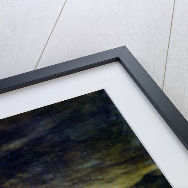 Tiger licking a paw by Ferdinand Victor Eugene Delacroix