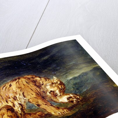 Tiger licking a paw by Ferdinand Victor Eugene Delacroix