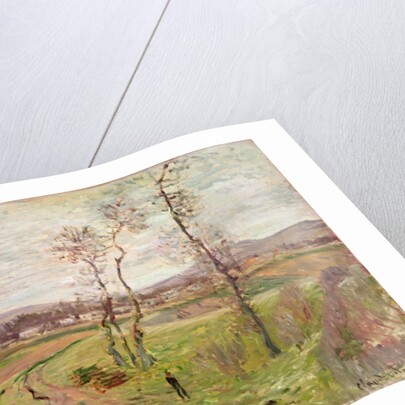 The Plain at Gennevilliers, 1877 by Claude Monet