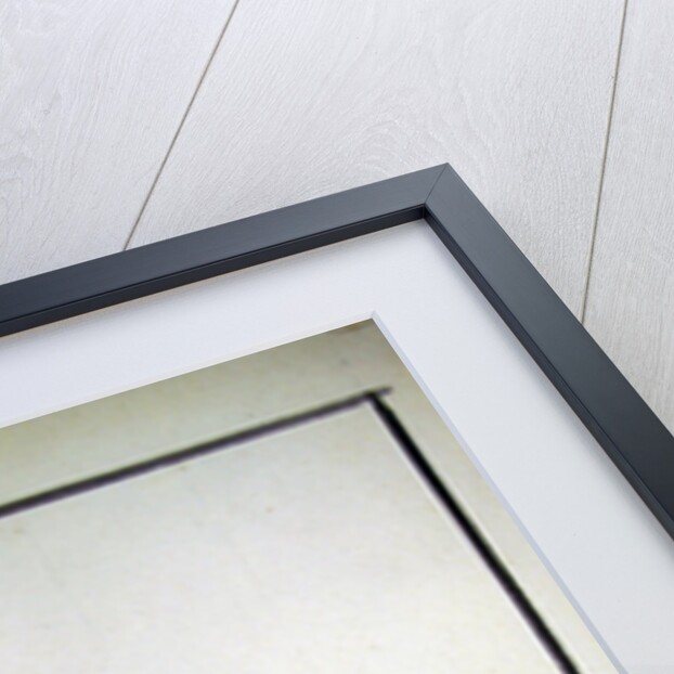 Mal tiempo pasas by Francisco Jose de Goya y Lucientes